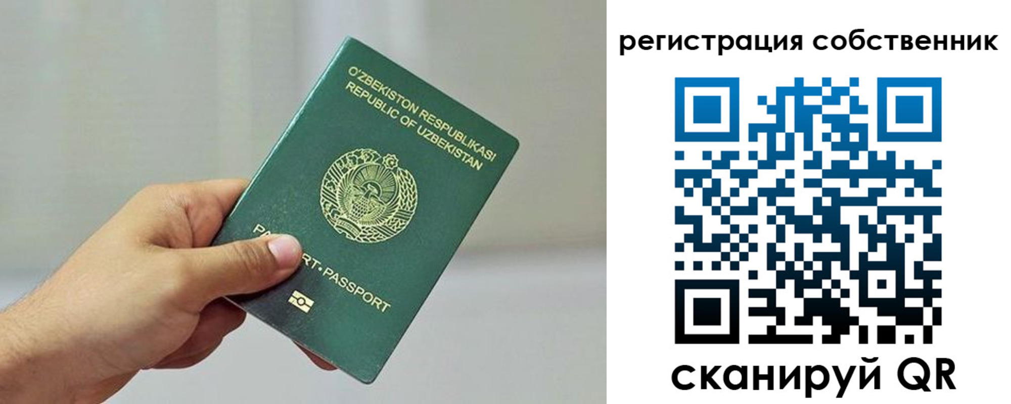 прописка поиск в Новоалександровске